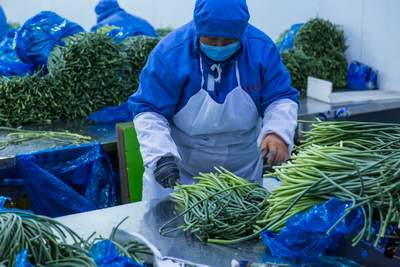 分拣中心